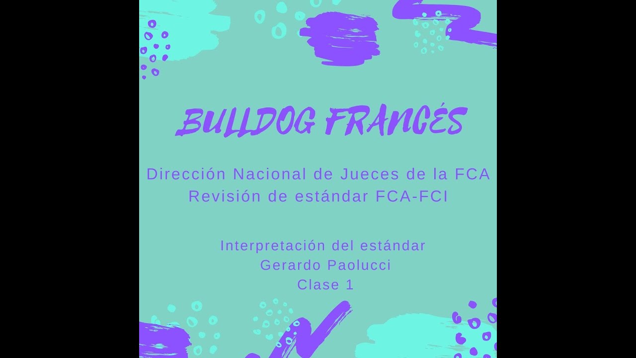 SEMINARIO BULLDOG FRANCÉS - Clase 1