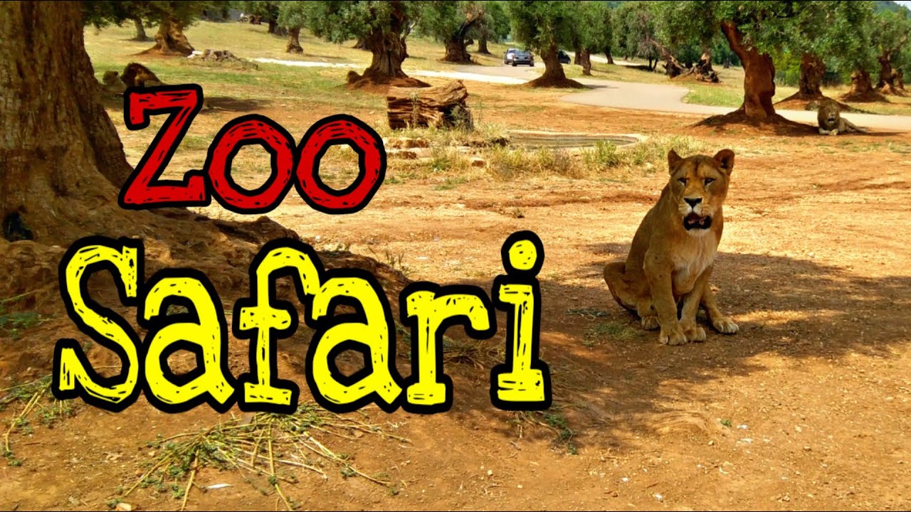Apeman A80 Action Cam Italy - Zoo Safari (Puglia)