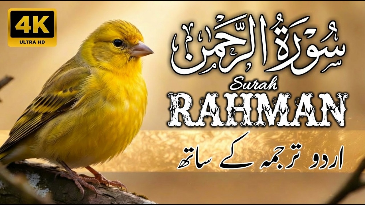 Surah Rahman With Urdu Translation | Surah Rahman Ki Tilawat Tarjuma Ke Sath | Ep 16
