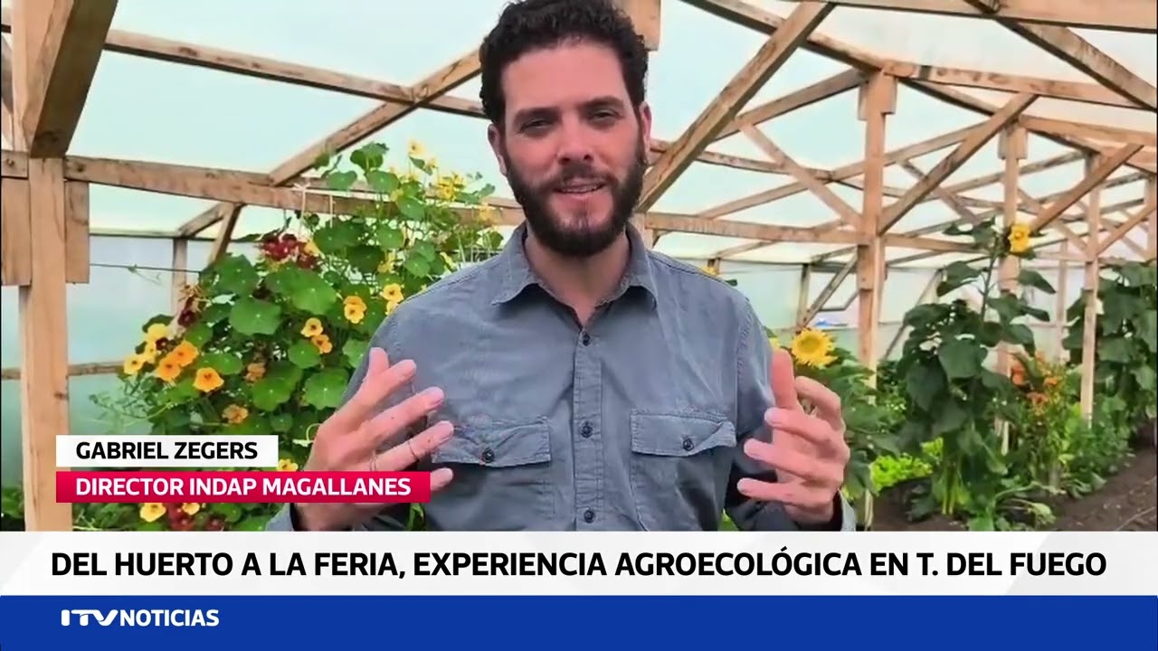 DEL HUERTO A LA FERIA