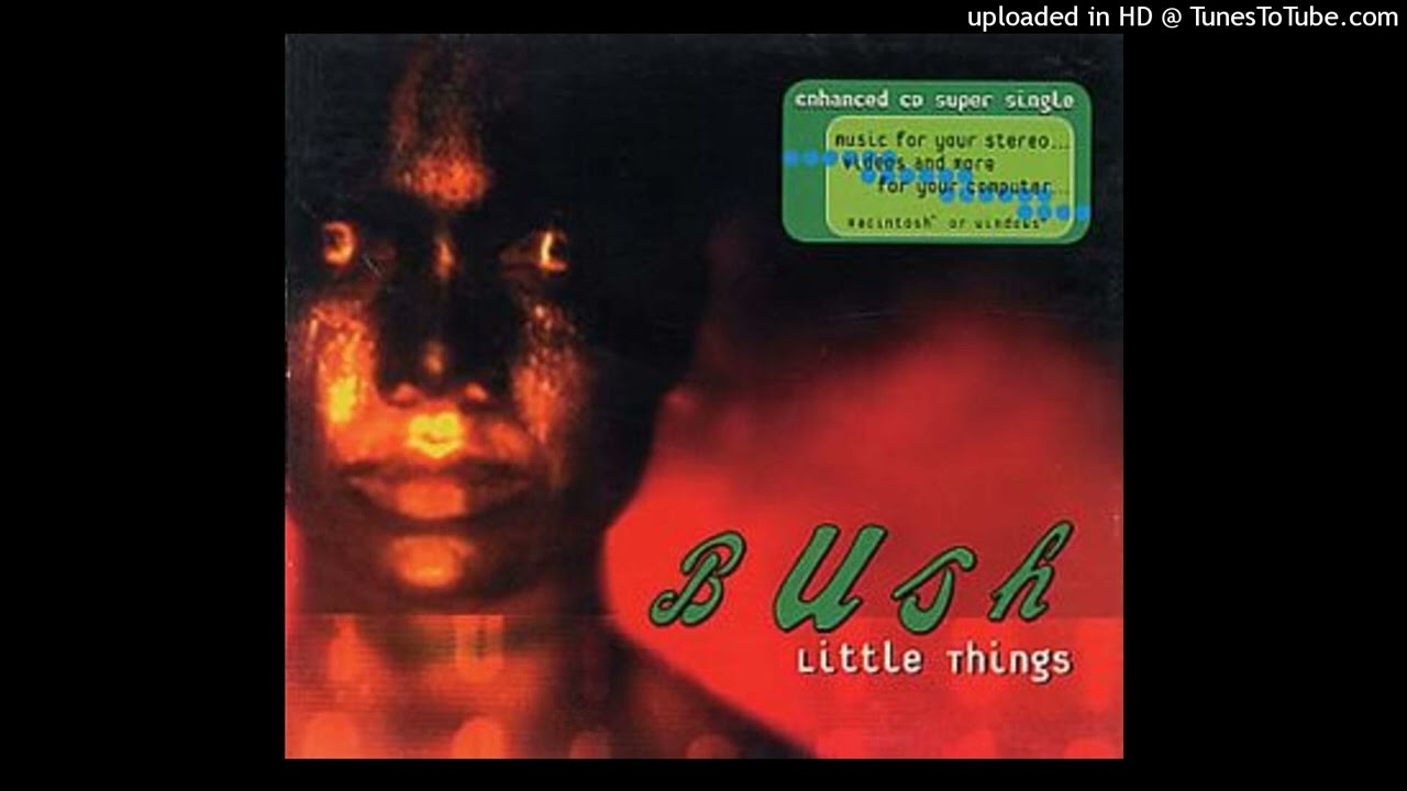 Bush -  Little things - Guitar Backing Track