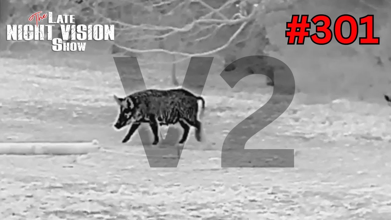 Ep. 301 | AGM Rattler V2 TS25-384 and TS35-384 Thermal Rifle Scope Review