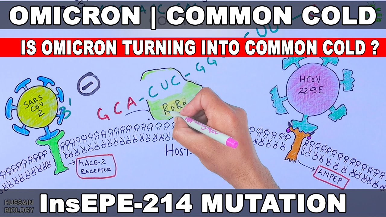 Omicron Variant | Common Cold | Ins214EPE Mutation