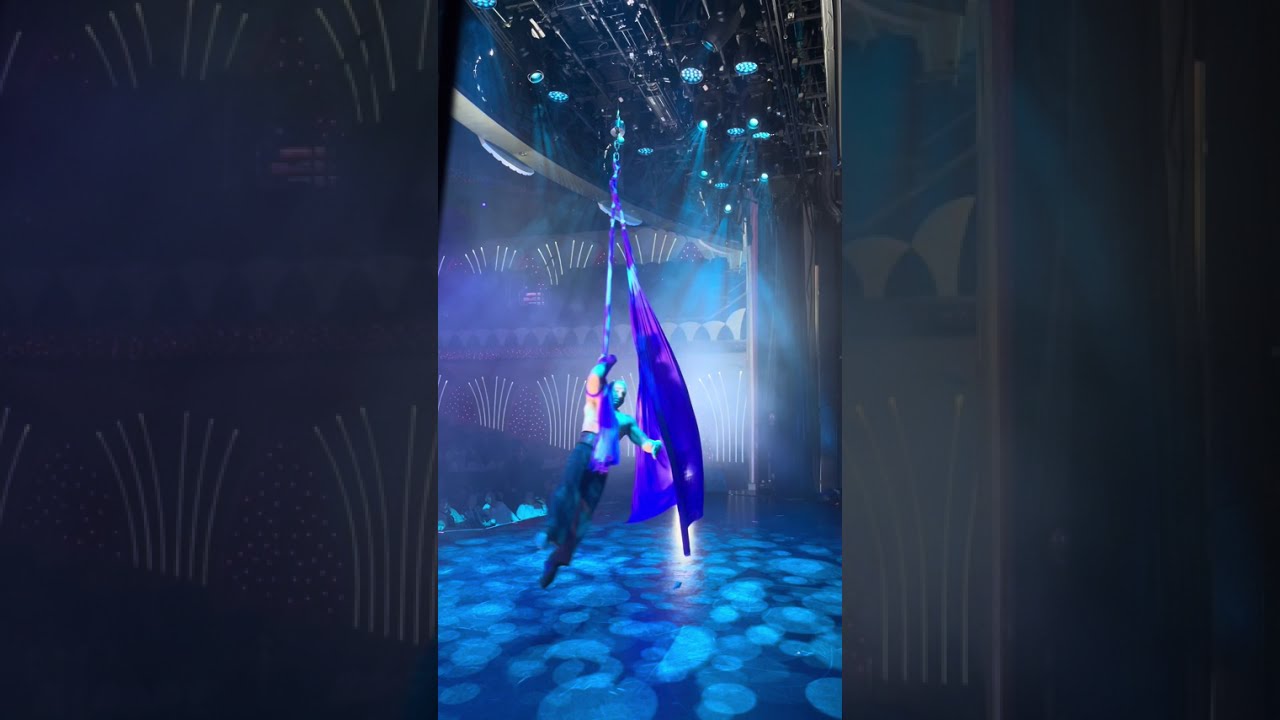 ONEIL REYES -REEL: STRAPS -POLE- AEREAL SILKS