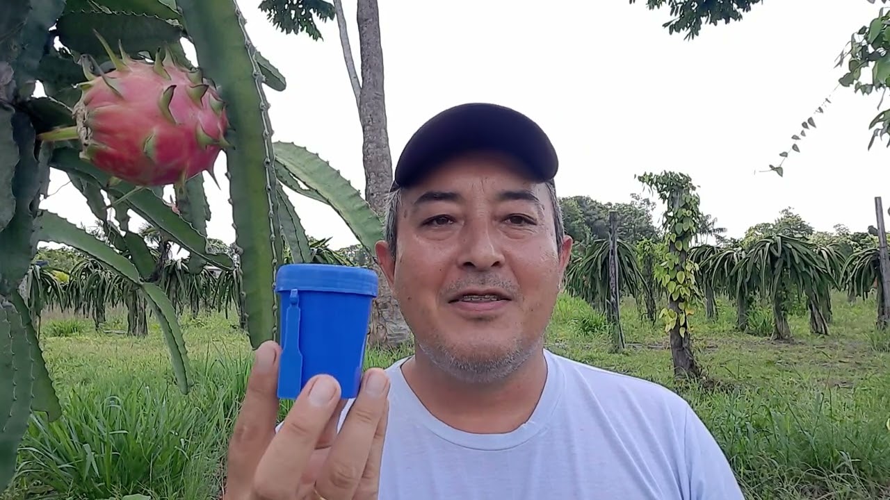 TEM COMO ARMAZENAR PÓLEN DE PITAYA PARA VENDA??