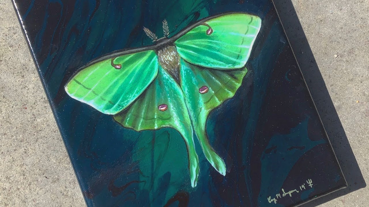 Painting a Luna Moth