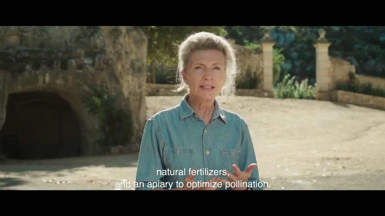 La Renaissance d'un Grand Domaine Viticole au Cœur de la Provence et du Parc Naturel du Luberon