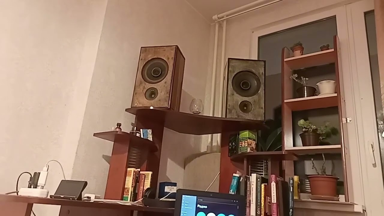 Хай фай с мусорки 2.