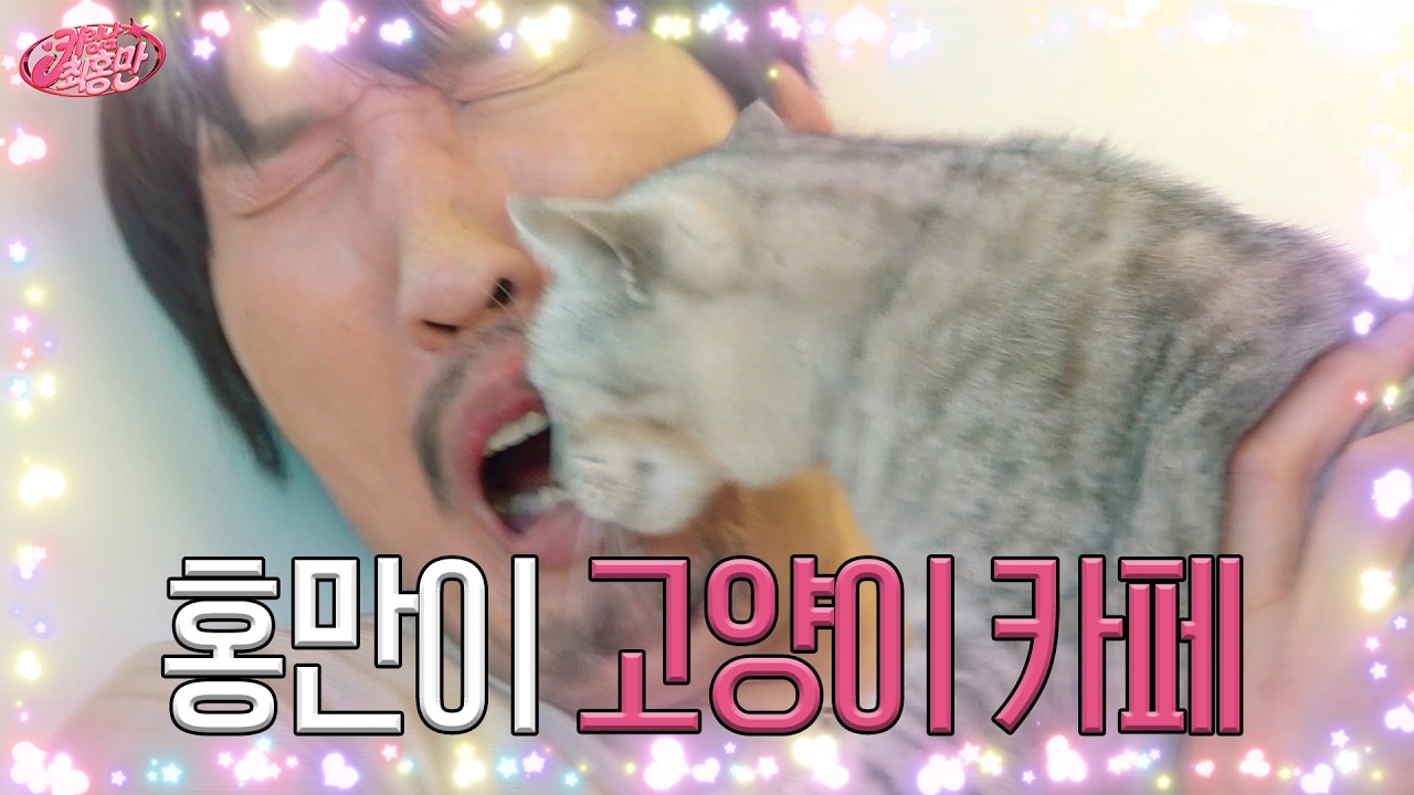 고양이한테 잡아먹힐 뻔했어요! | 고양이 카페 방문 | 키링남 최홍만