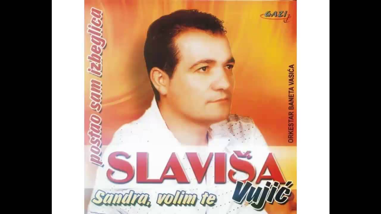 Slavisa Vujic - Gusta mi magla padnala - (Audio 2003)