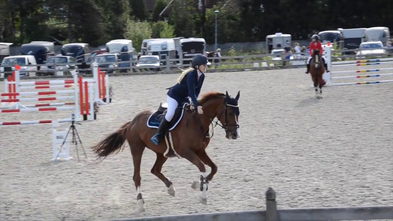 Sesongen 2016