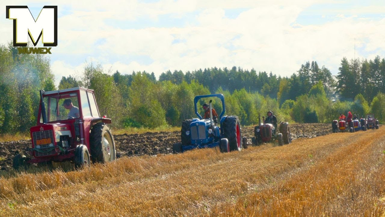 (МОКРО!) Осенняя пахота в Малаx, Финляндия – 20.09.2025