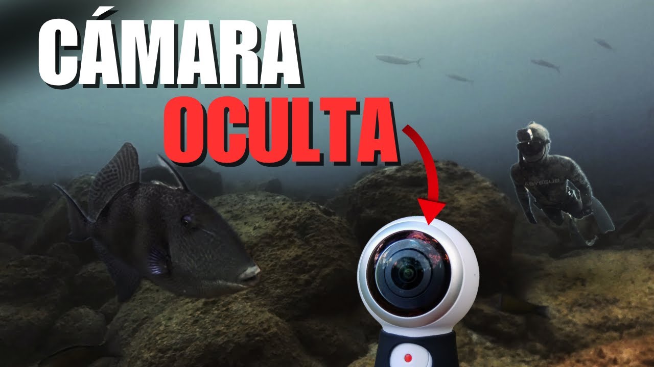 Puse Una Cámara Oculta En El Fondo Del Mar