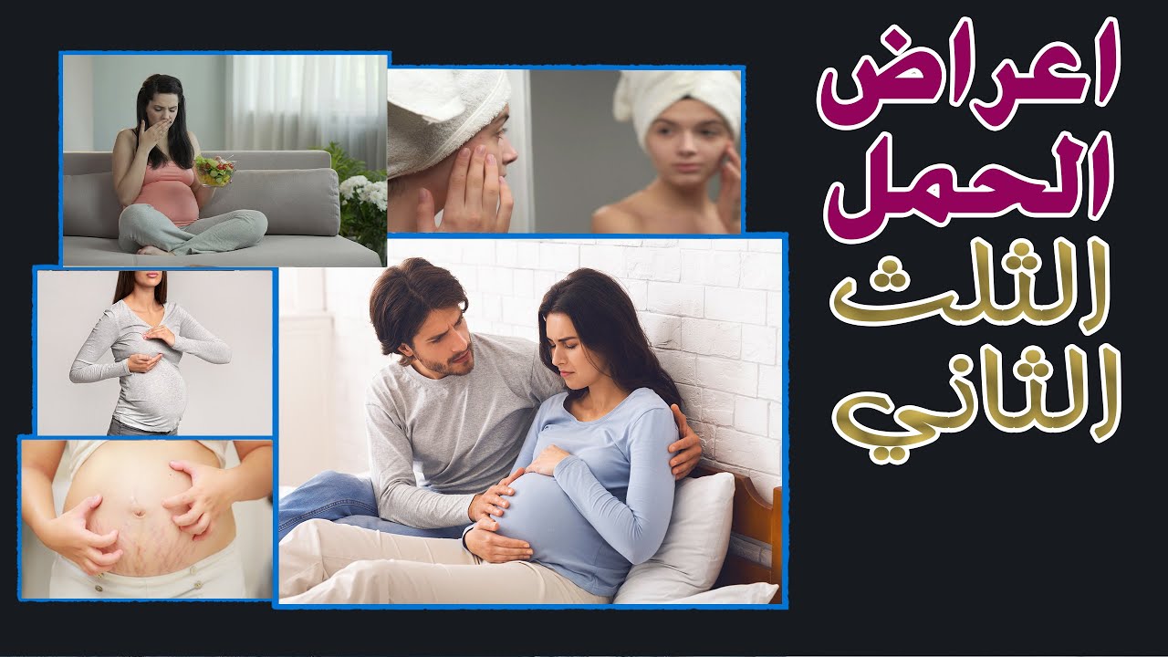 اعراض الحمل في الثلث الثاني | حركة الجنين ونشاطه