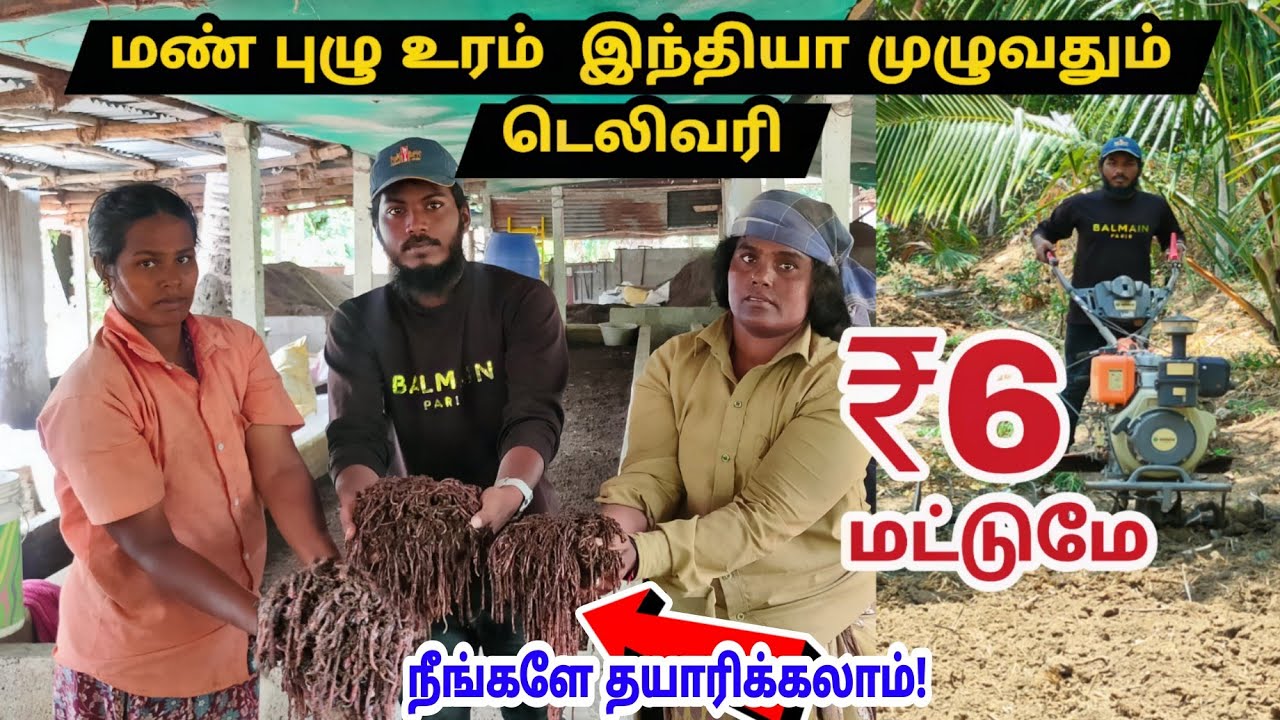 ' Vermicompost' மண்புழு உரம் நீங்களே தயாரிக்கலாம்! முழு விளக்கம்