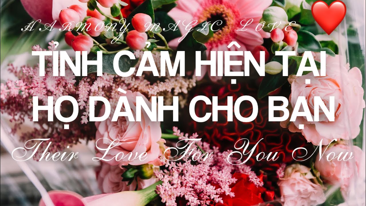 Chọn 1 tụ bài: [BIGLOVE]💞TÌNH CẢM HỌ DÀNH CHO BẠN HIỆN TẠI NHƯ THẾ NÀO