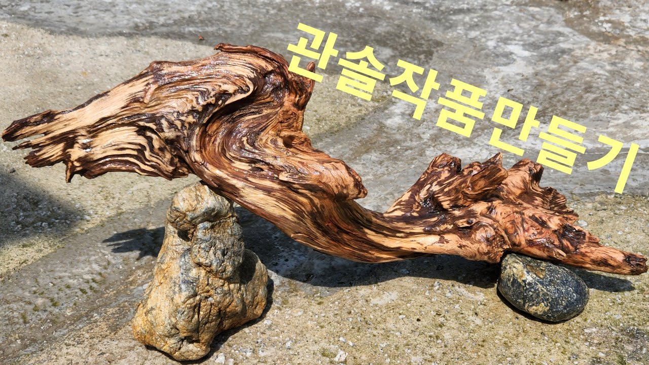 관솔나무에 멋진 생명을 관솔작품/괴목작품 쉽게만들기 관솔작품무늬살리기 초보도 쉽게할수있음