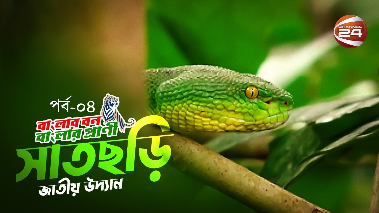 বাংলার বন বাংলার প্রাণী | Banglar Ban Banglar Prani | পর্ব - ৪ | সাতছড়ি জাতীয় উদ্যান | Channel 24