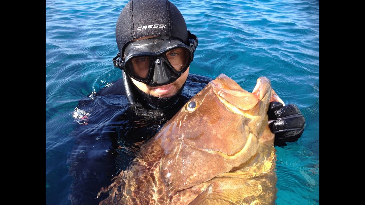 Trucos secretos para la pesca del Mero GRande (Falsa retirada)