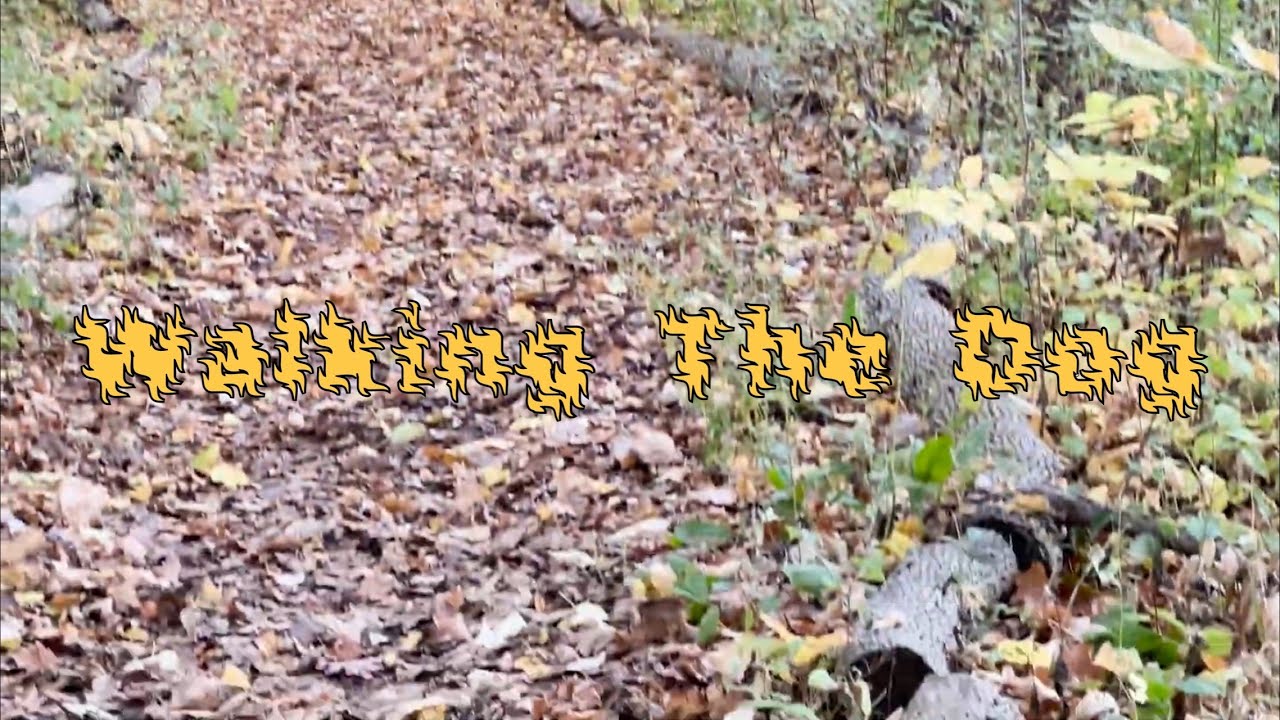 Walking The Dog (2026)