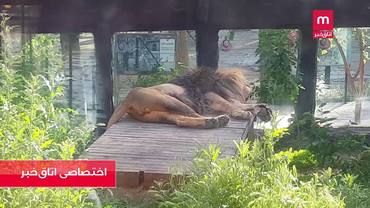 وضعیت این روزهای نماد هزار ساله ملی