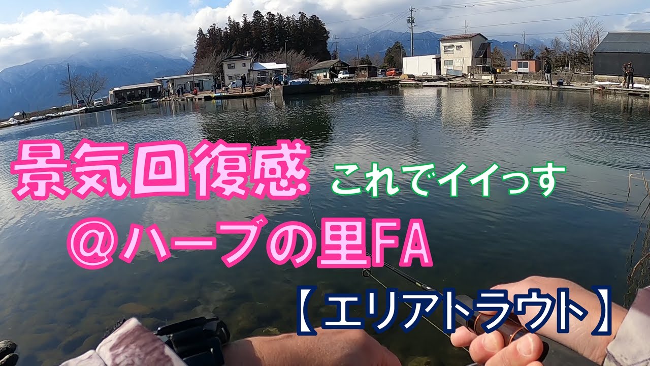 景気回復感！＠ハーブの里フィッシングエリア【エリアトラウト】