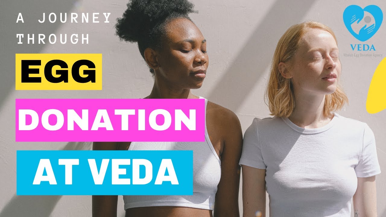 Egg donation process at VEDA by Doctor 💙