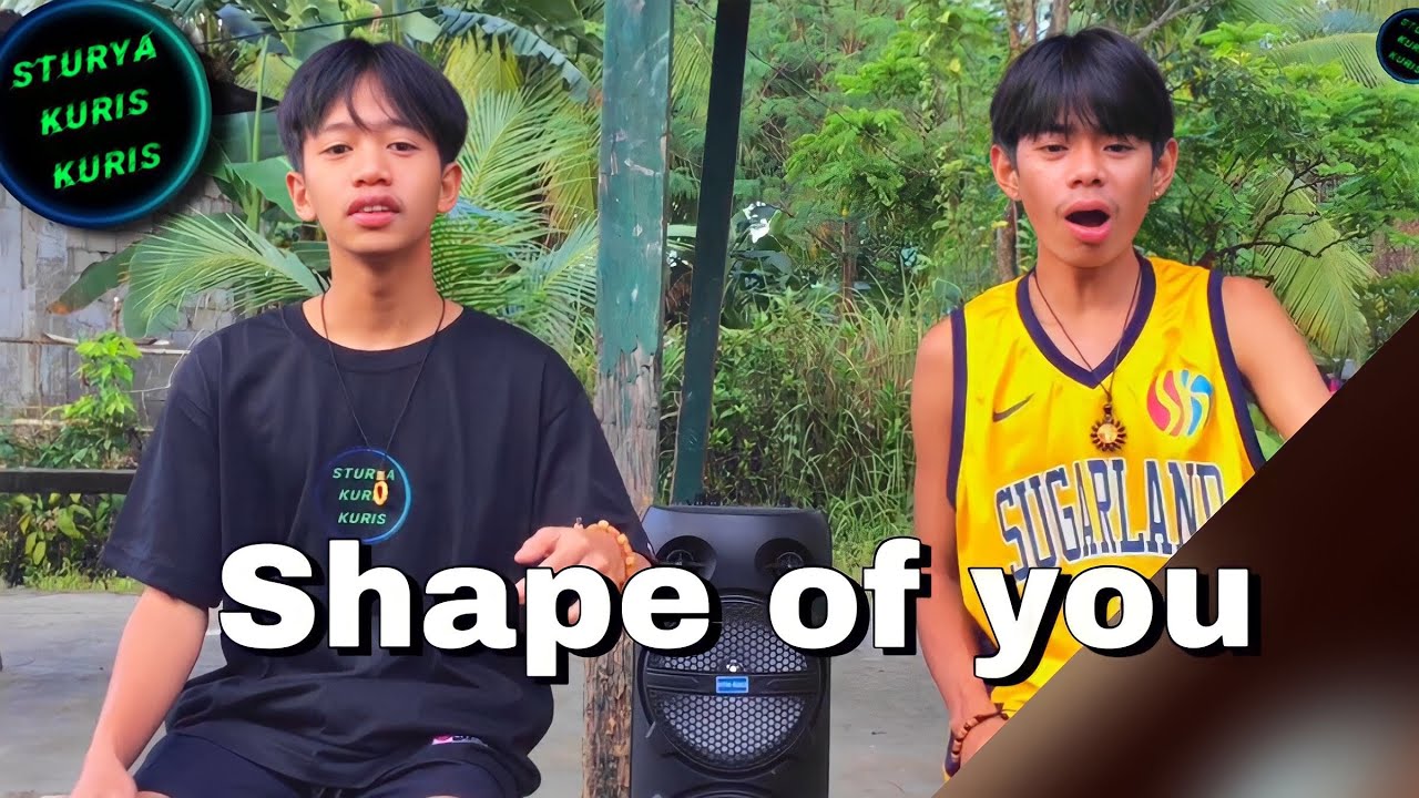 Shape of you ( Cover )