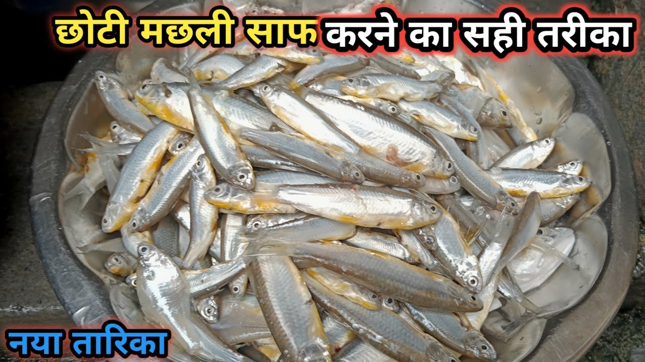 छोटी मछली बनाने का सही तरीका |®choti machhali banane ka tarika | small fish curry recipe |  fish fry