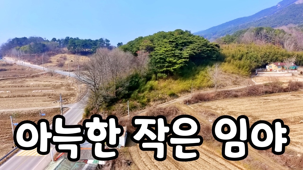 (NO.8700) 소나무숲 남향임야 세컨하우스 전원주택 추천매물 예당호, 봉수산