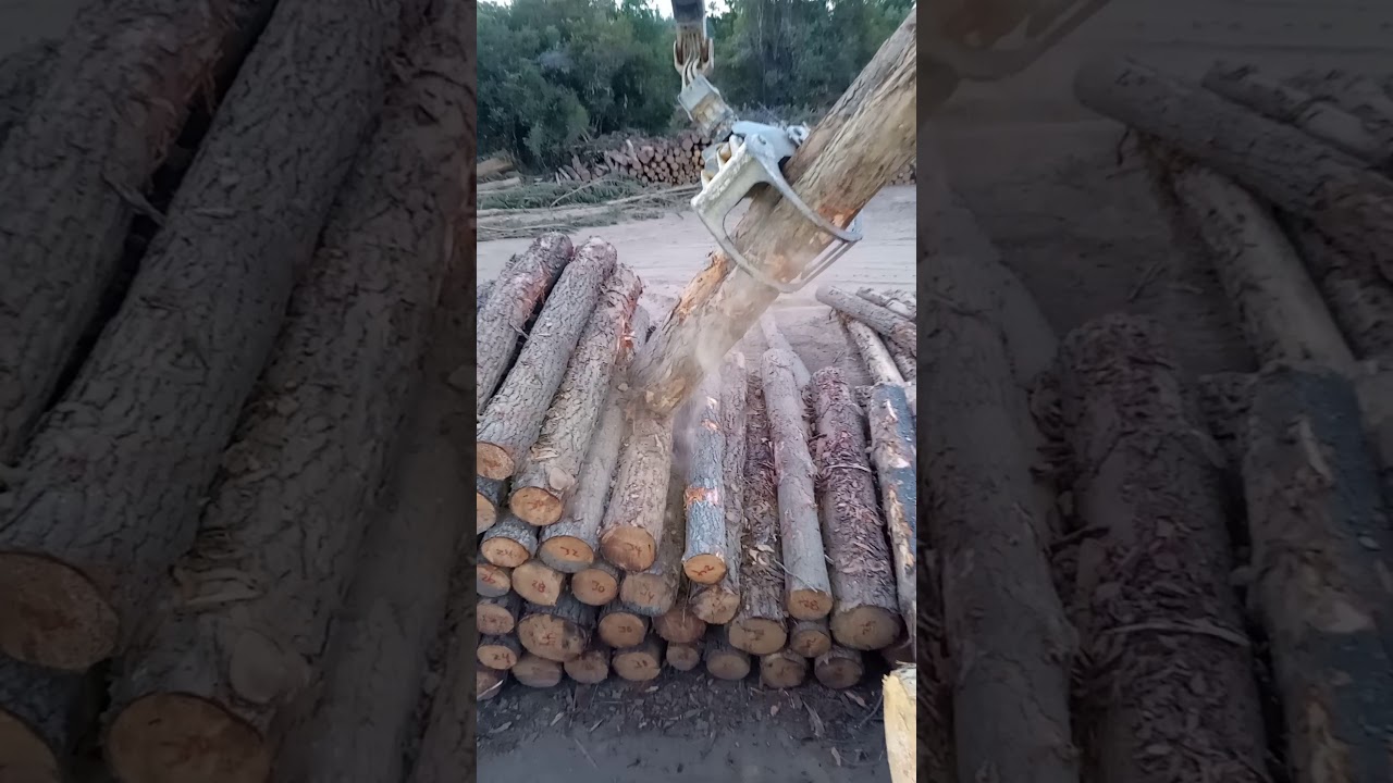 cargando trozos