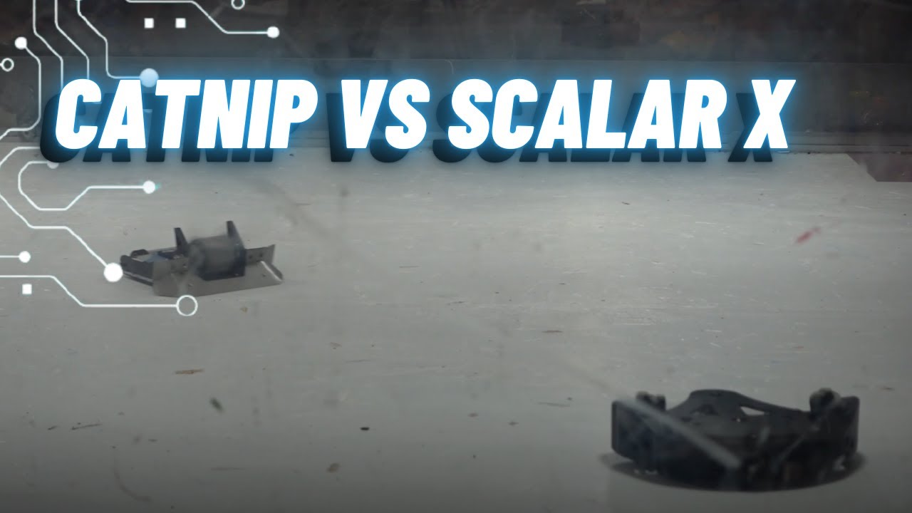 Catnip vs Scalar X | Inside the Fight