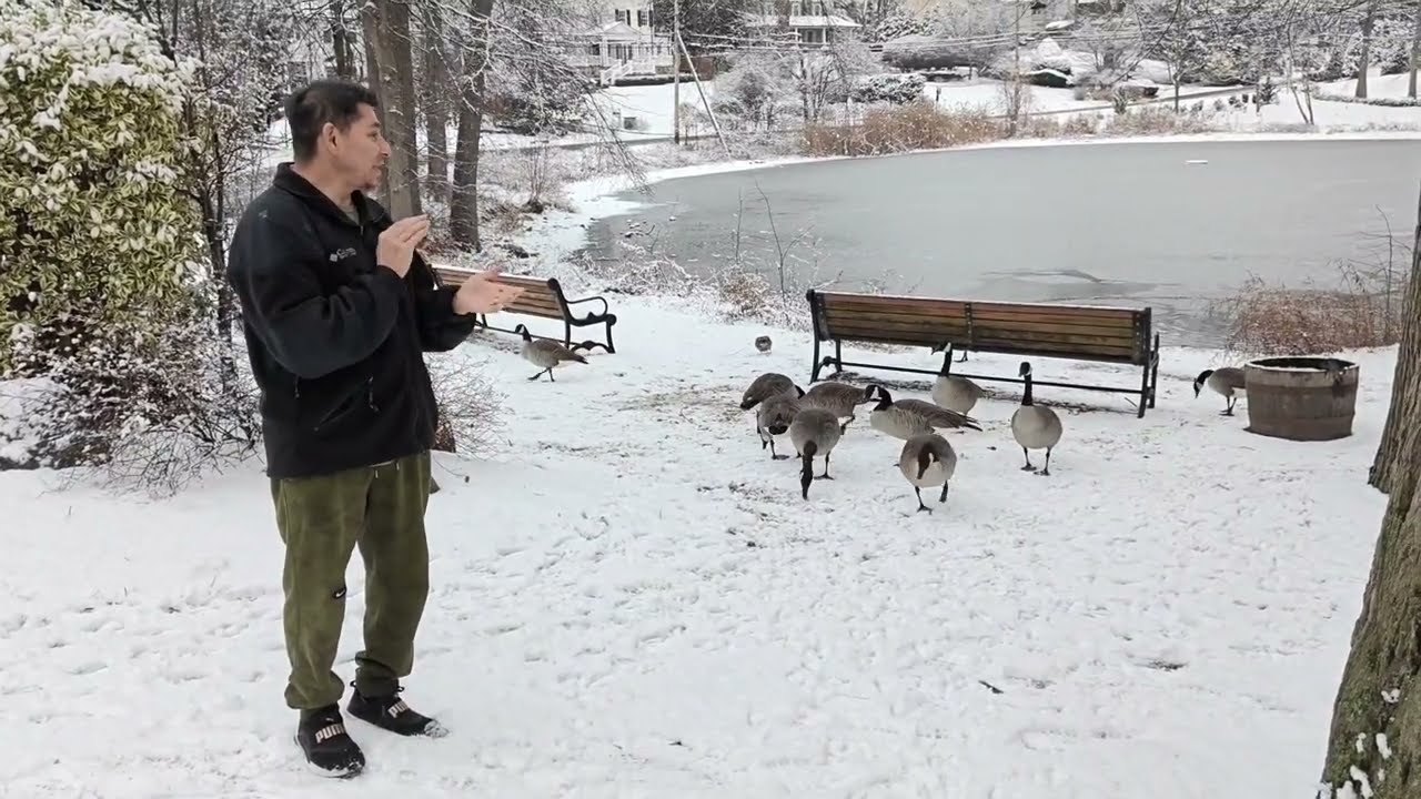 Dándoles comida 🫘 alos patos 