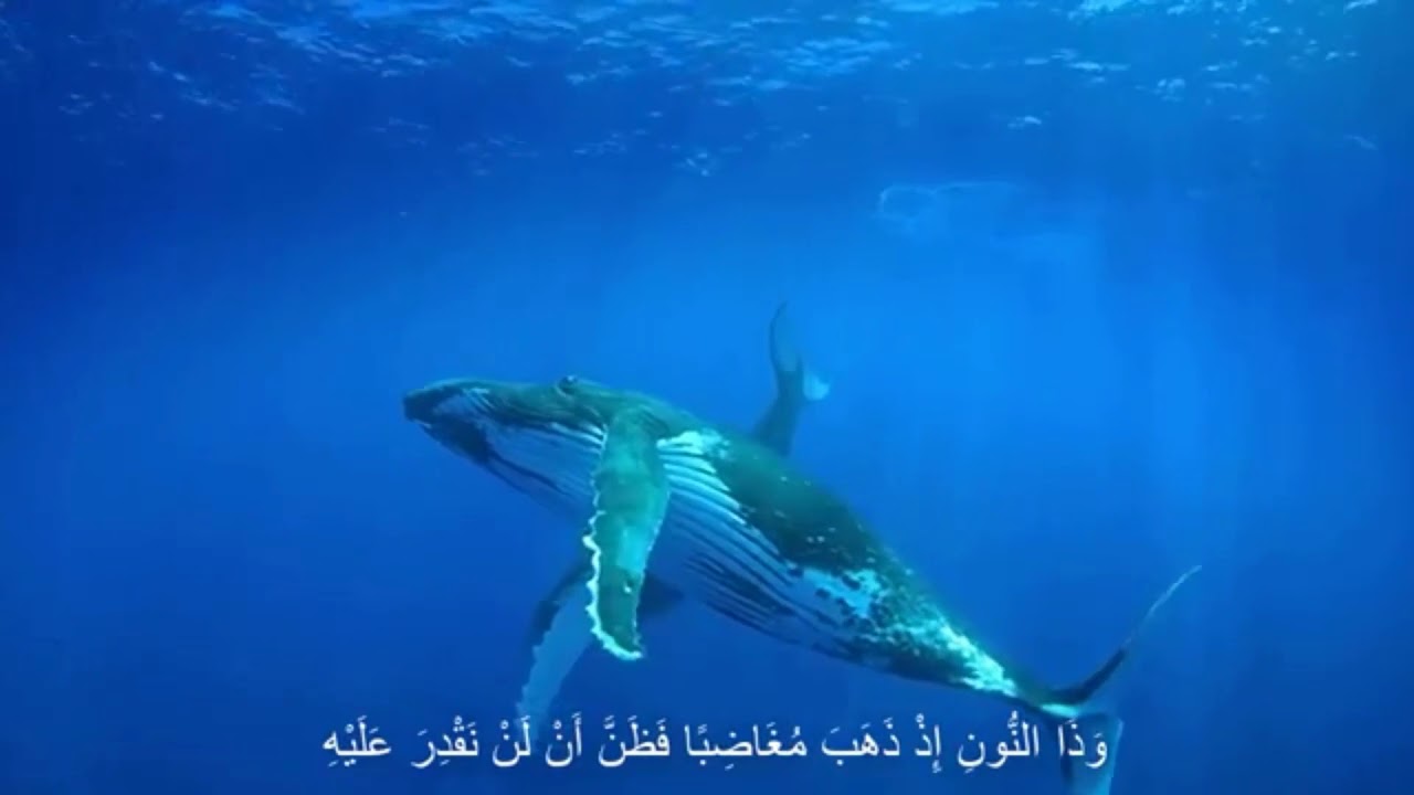 وذا النون إذ ذهب مغاضبا - إسلام صبحي beautiful recitation