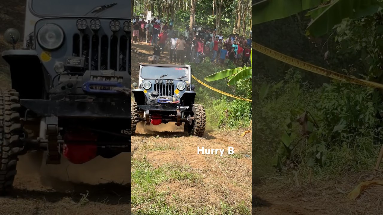 Off-road Tracks And The Players