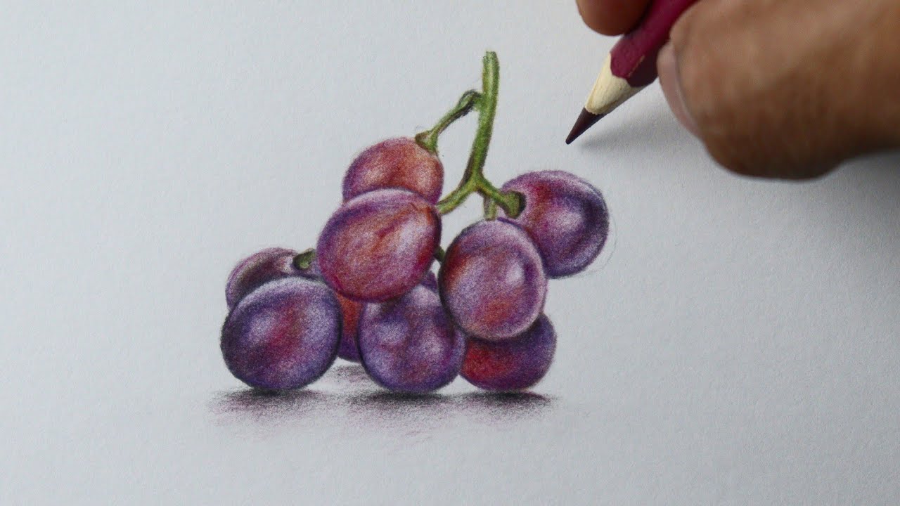Como desenhar Uvas realista - PASSO A PASSO - narrado