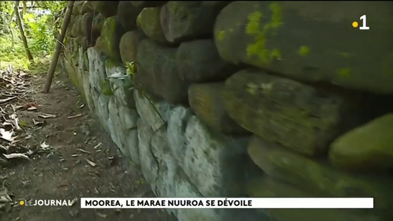 Au cœur du fenua : le marae de Nuuroa