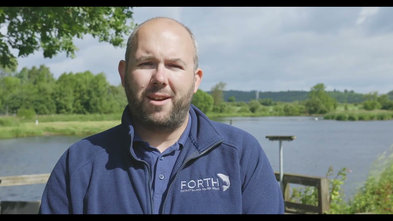 What Is fish crime and how to report it