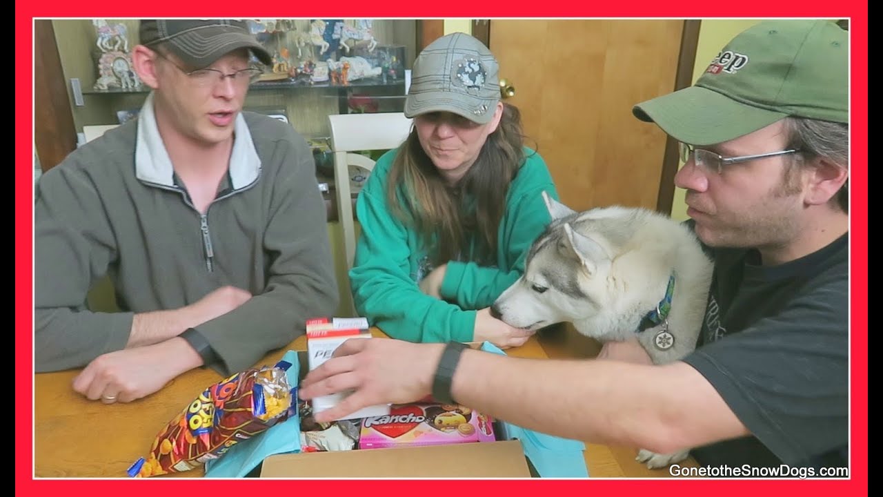 KOREAN TREATS TASTE TEST | Americans Try Korean Snacks