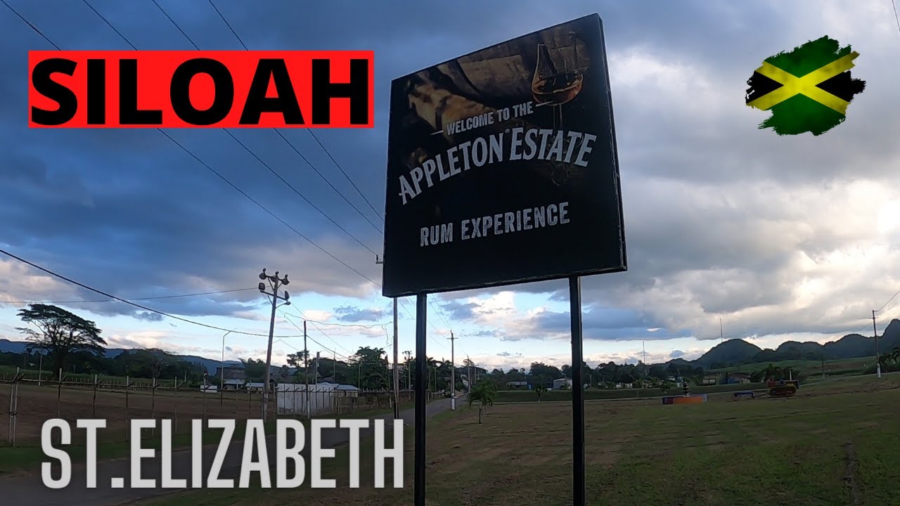 TOUR OF SILOAH TO APPLETON ST.ELIZABETH JAMAICA THE RUM ESTATE   COMMUNITY KNOW WE SWEET JAMAICA