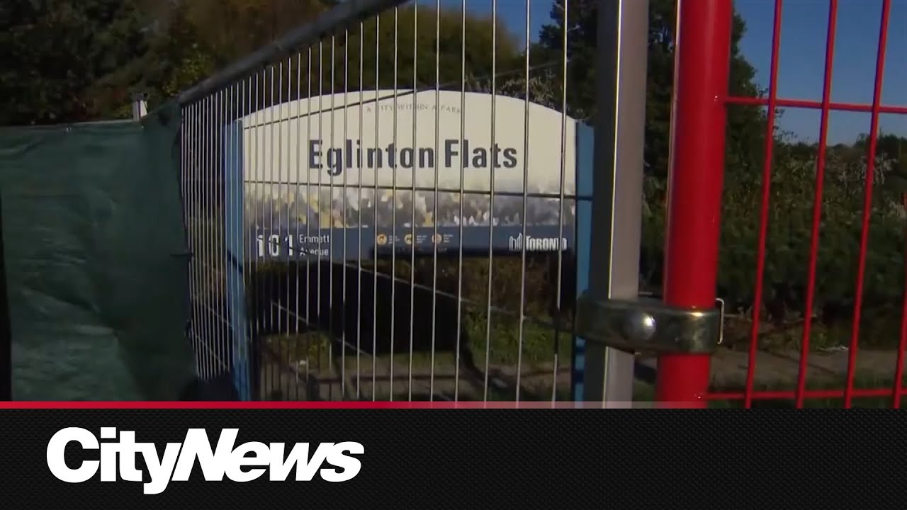 Metrolinx begins tree removal at Eglinton Flats