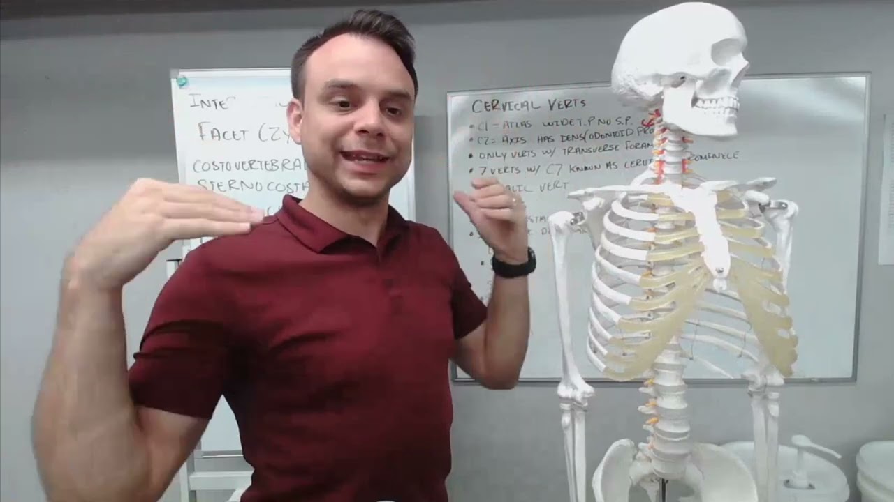 Spine and Thorax Crash Course