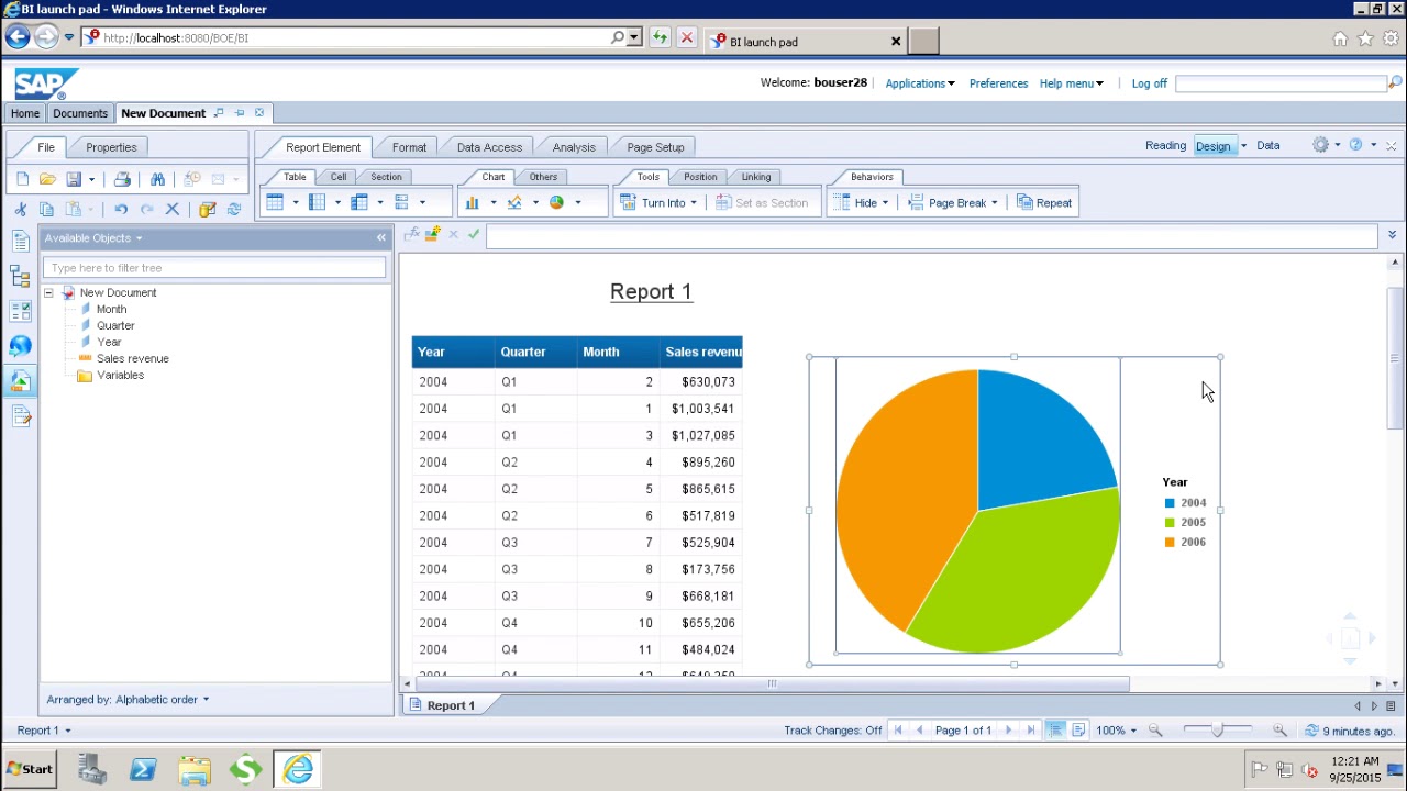 SAP Webi - Charts