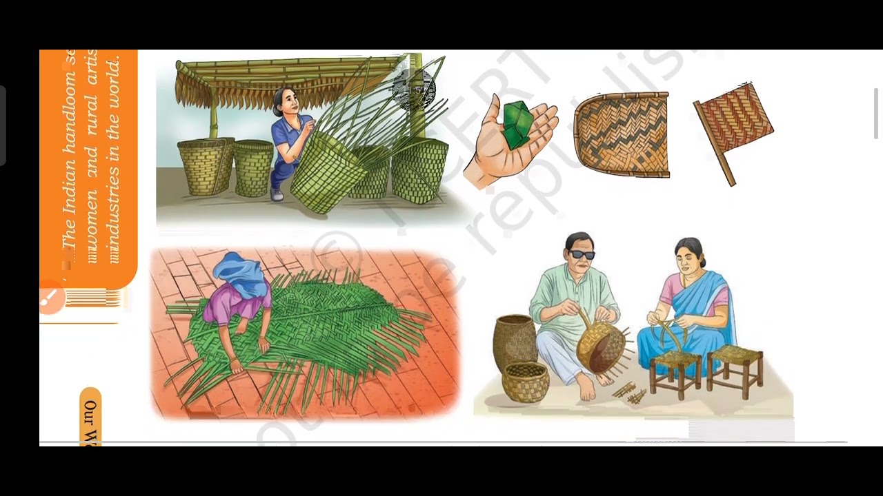 EVS-STD 5/8 (NCERT)