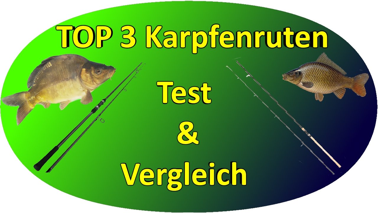 Karpfenruten TEST & Vergleich | Top 3 Karpfenruten Testbericht/Kaufempfehlung