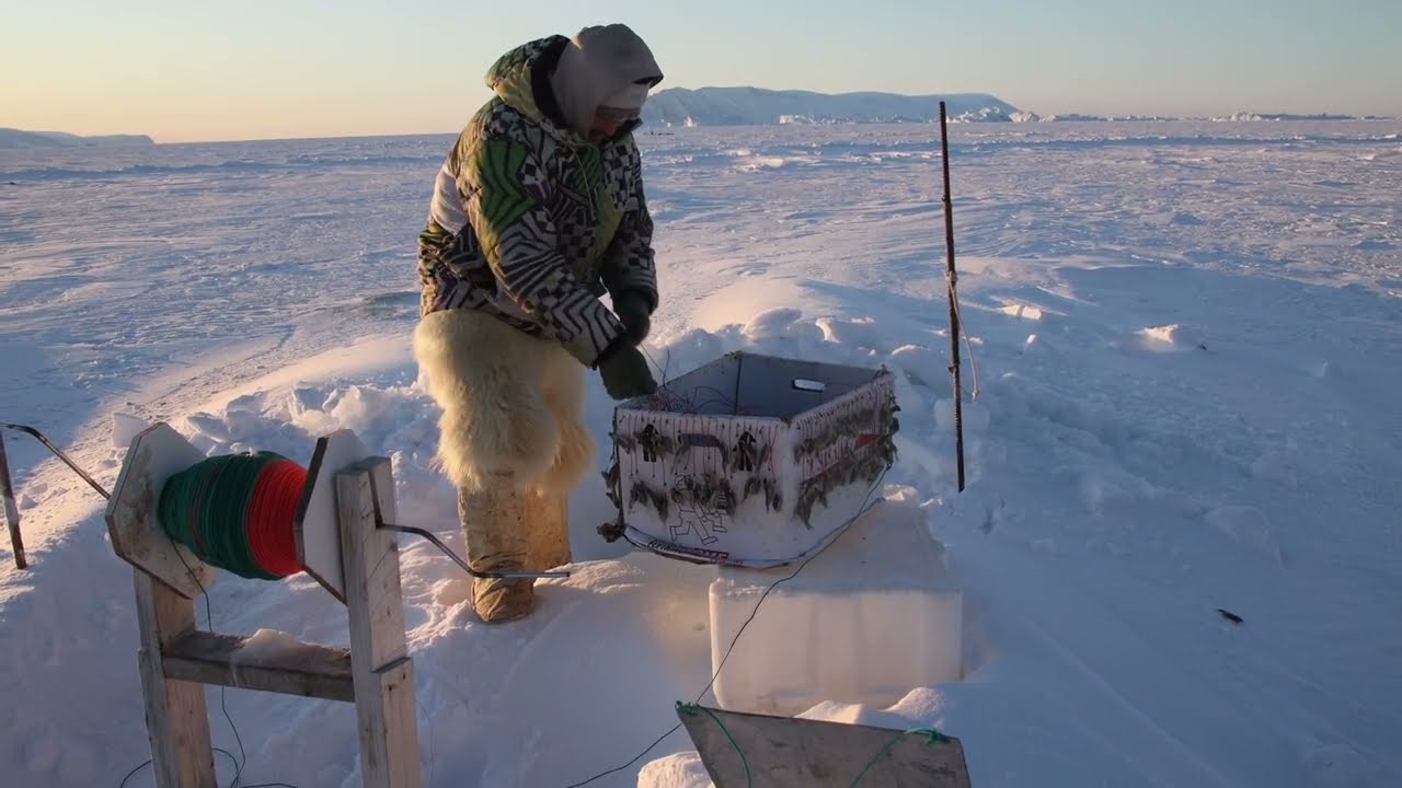 Icefishing in Qaanaaq - part 5