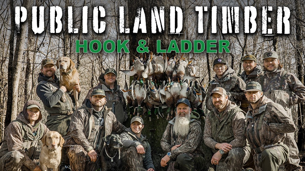 Public Land Duck Hunting - Hook & Ladder Mallards | DrDuck