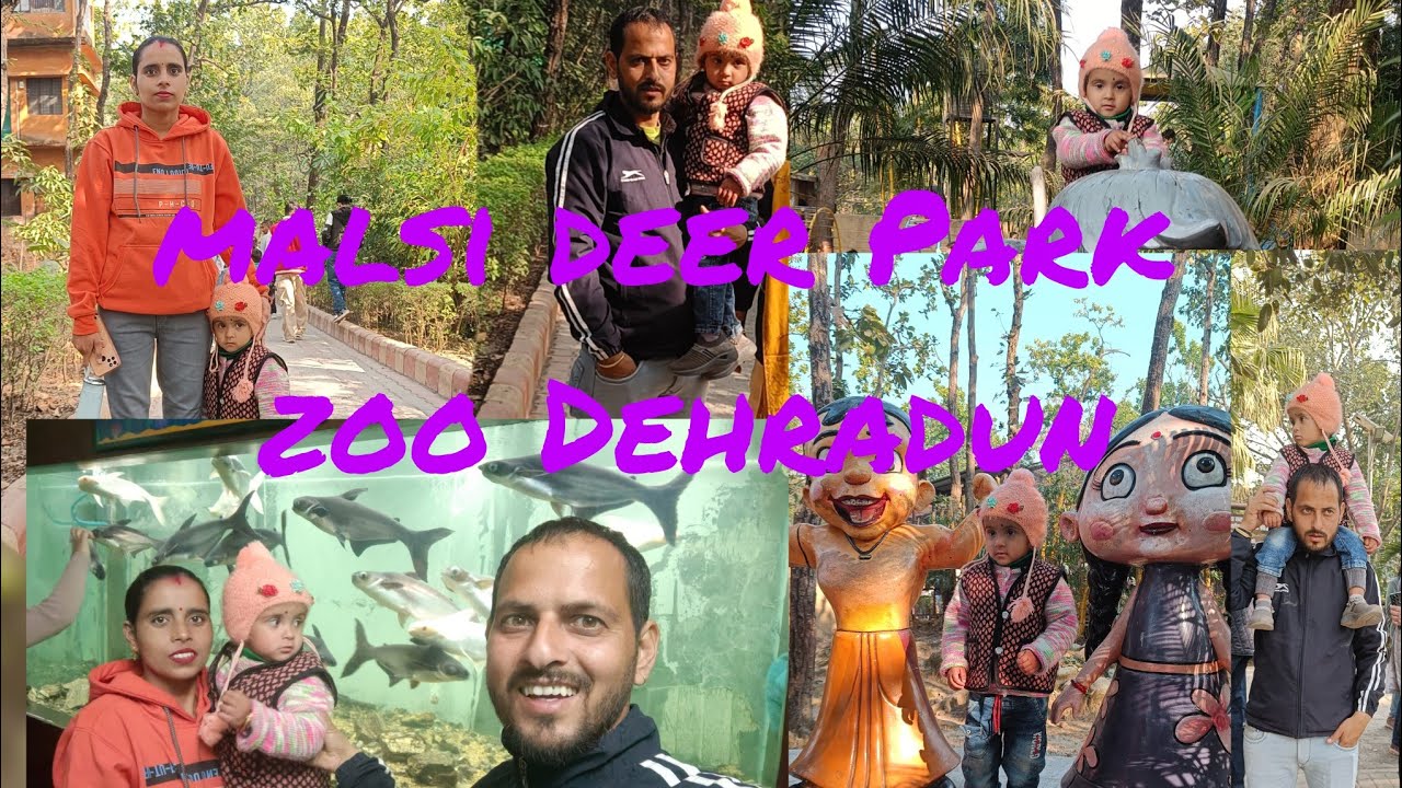 Mansi deer Park Dehradun zoo 🐦🐦‍⬛🦅🐒🐊🐯🐅🦌🦌