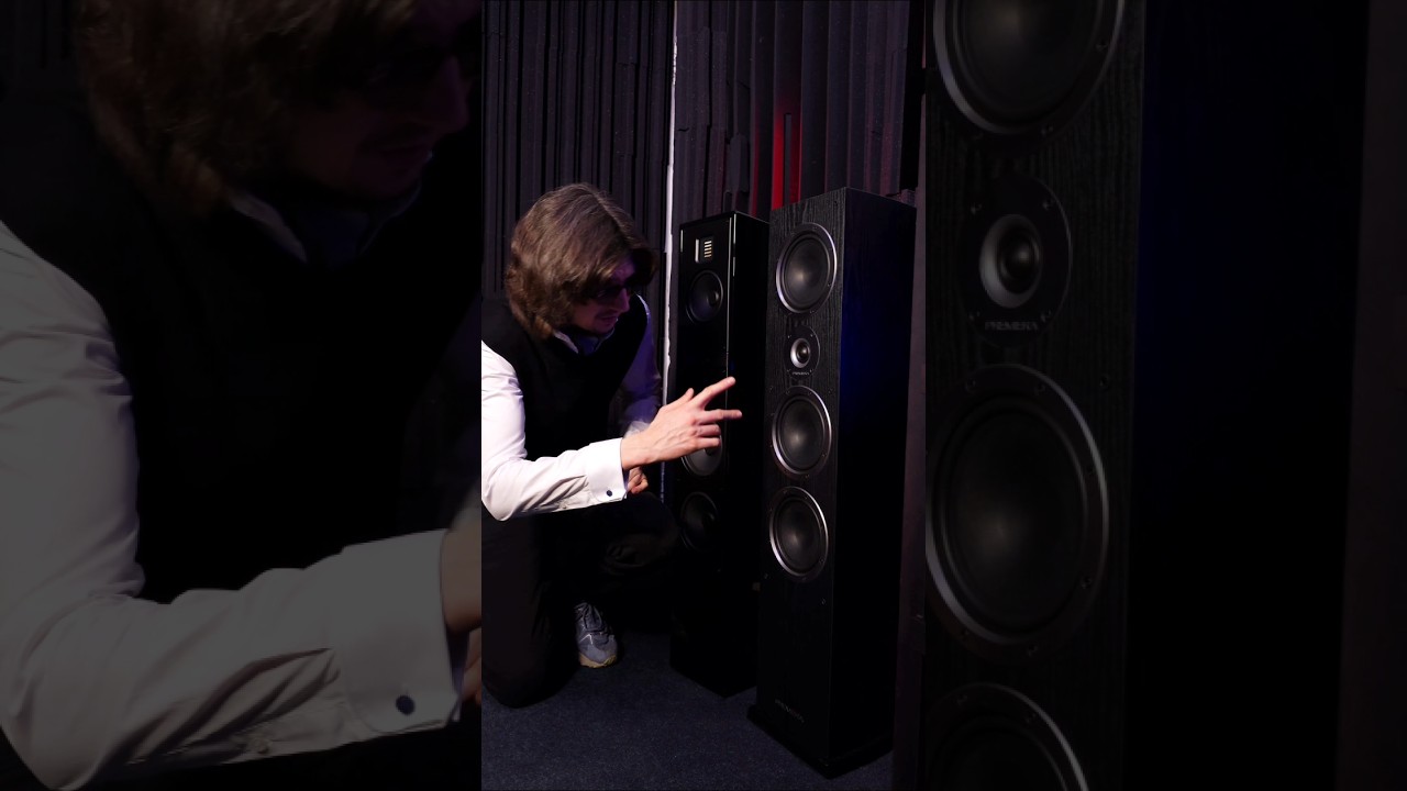 В чем отличие дешевых и дорогих колонок? Российская Premiera DS-631или Martin Logan  Motion из USA🔊