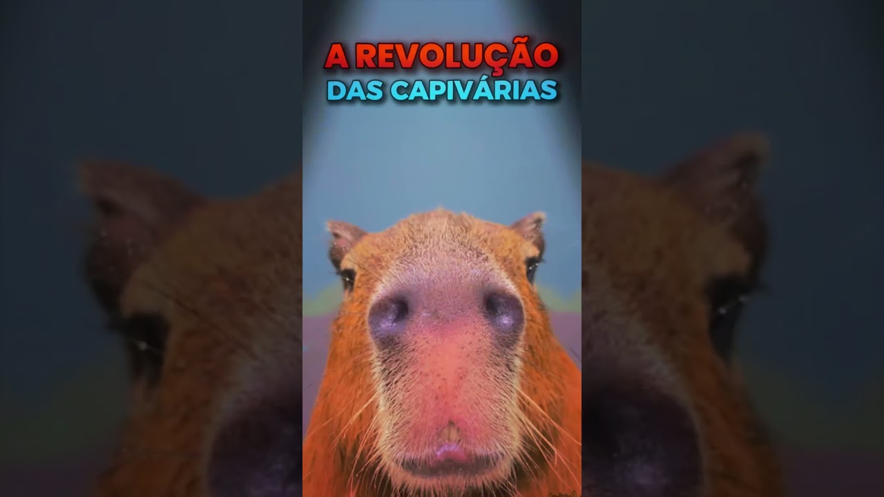 A Capivara Youtuber